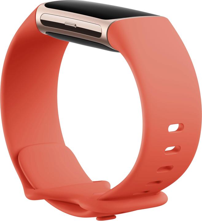 Actual product image Fitbit Charge 6 (36.73 mm)