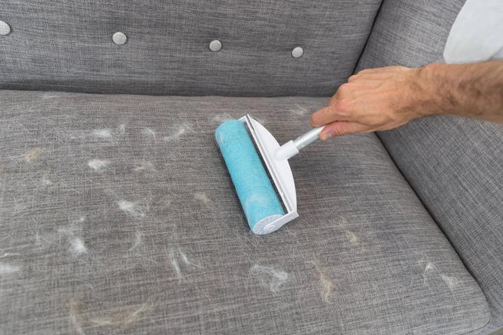 Actual product image Trixie Lint roller (Dog)