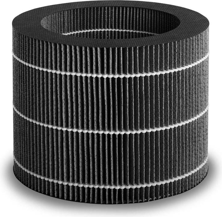 Beurer Ersatzfilter zu LB 200 und LB 300 (1 x)