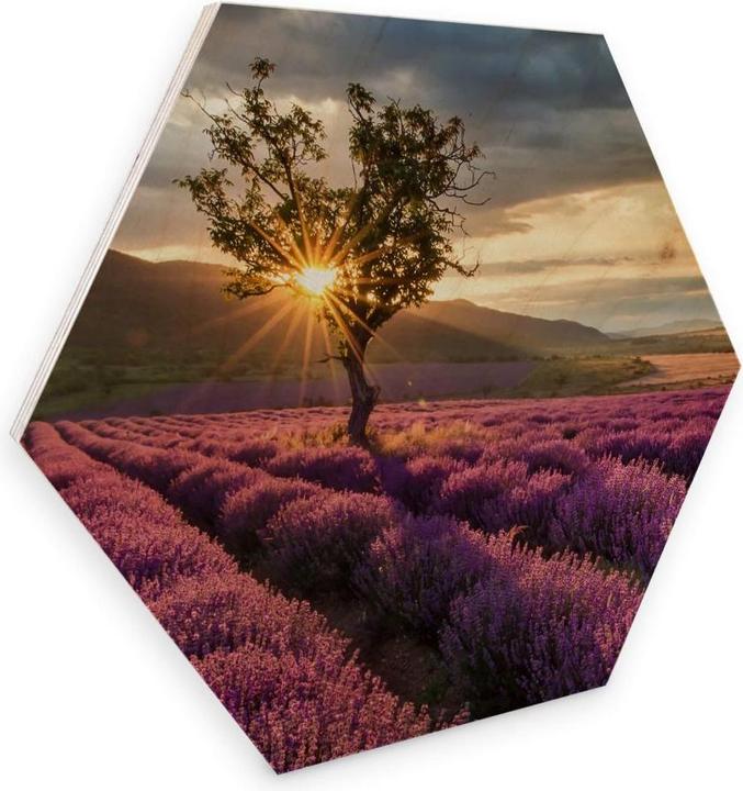 Produktbild Trenddeko Lavendelblüte in der Provence (55 x 47 cm)