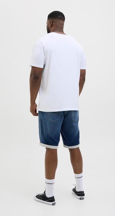 Image du produit Jack & Jones JJIRICK JJICON I.K. SHORTS GE 132 SN PLS (W44)