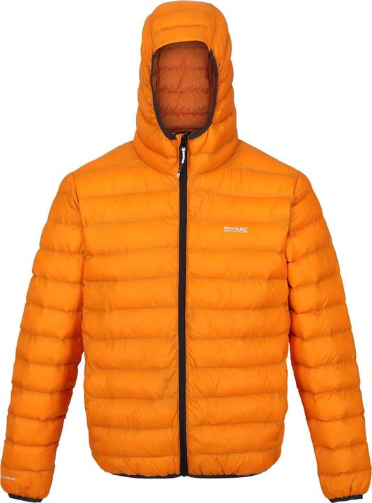 Produktbild Regatta Marizion Steppjacke mit Kapuze (S)