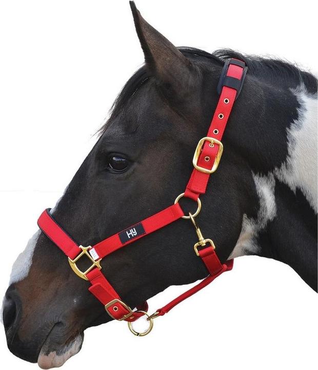 Immagine prodotto Hy Health Hy Deluxe Halter imbottita