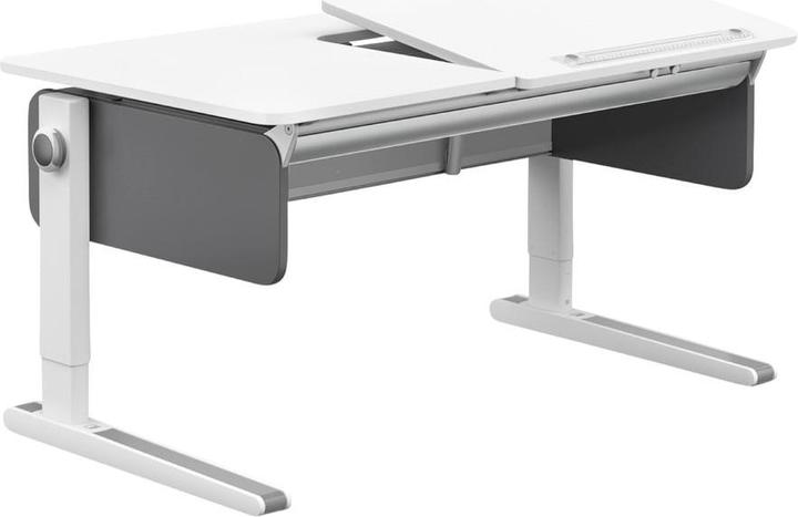 Actual product image Moll Champion Right Up (120 x 53 cm)