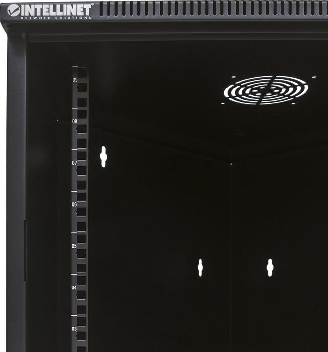 Image du produit Intellinet Boîtier adapté au montage mural (9 HE, Rack 19 pouces)