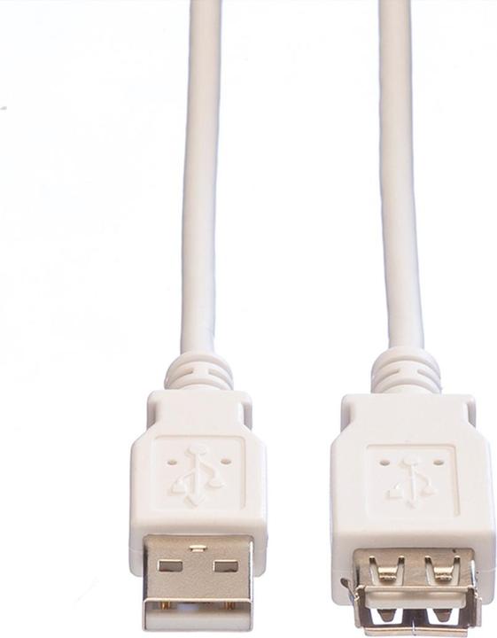 Actual product image Value USB 2.0 (3 m, USB 2.0)