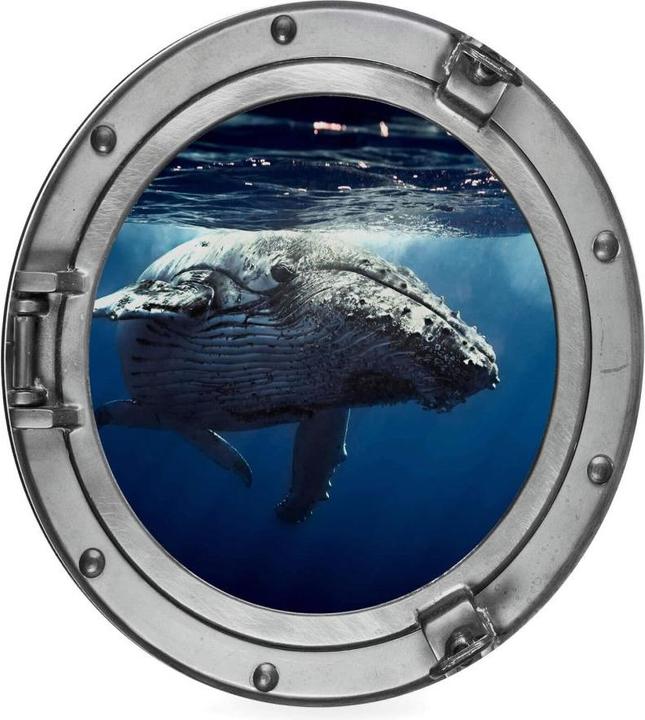Image du produit Trenddeko 3D-Optik Bullauge - Baleine à bosse en plongée (Ø 20 cm)