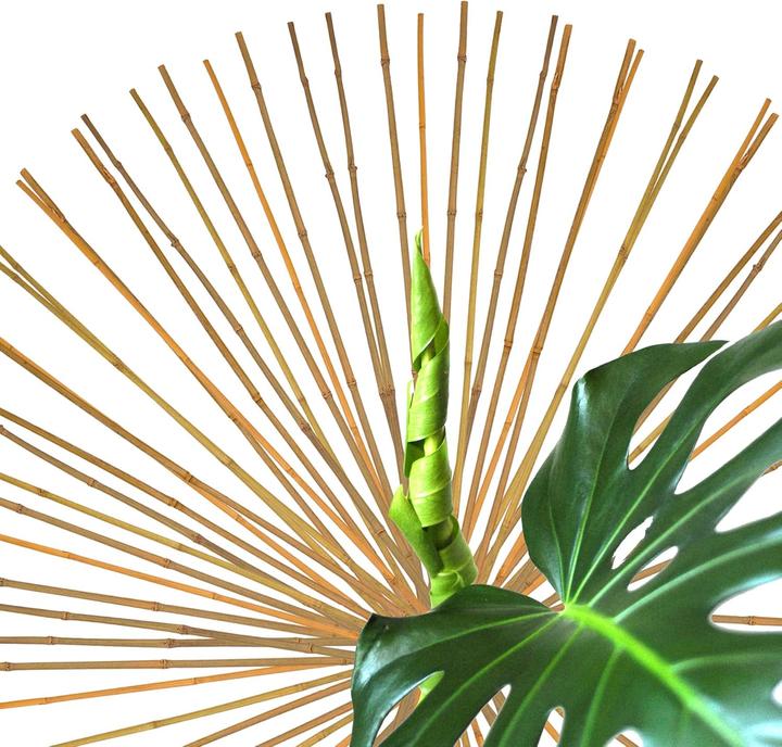 Actual product image BigDean Bambus-Pflanzenstab Rankhilfe (50 Stück) (105 cm, 1 cm)