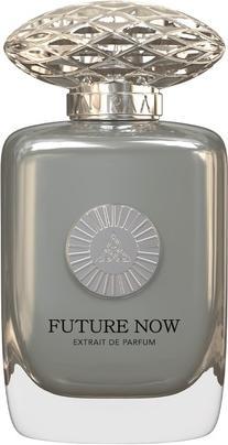 Auraa Desire Destiny Extrait De Perfume 100ml von Floral Sweet Spicy Fragrance Oud Nutmeg Cedarwood (Eau de Parfum, 100 ml)