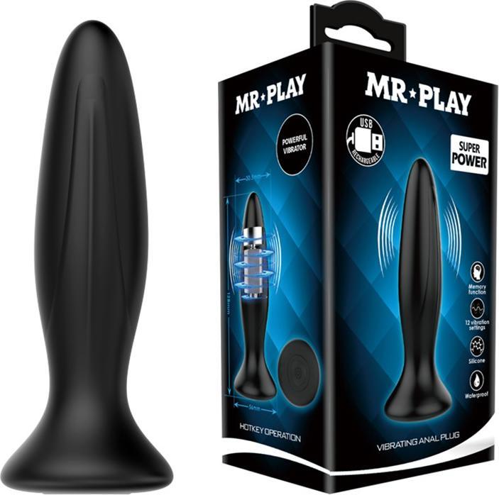 Image du produit Mr. Play Plug anal vibrant