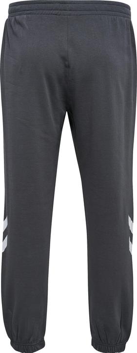 Image du produit hummel Hmllegacy Regular Pants Plus (XXL)