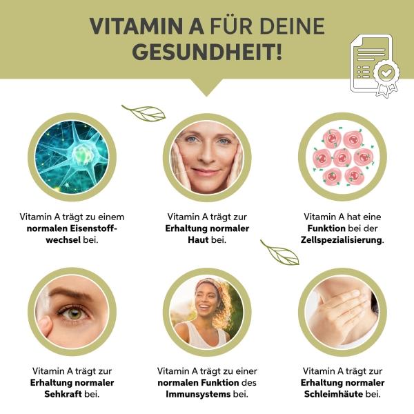 Produktbild Eltabia Bio Moringa Kapseln 100 (100 Stück, Kapseln)
