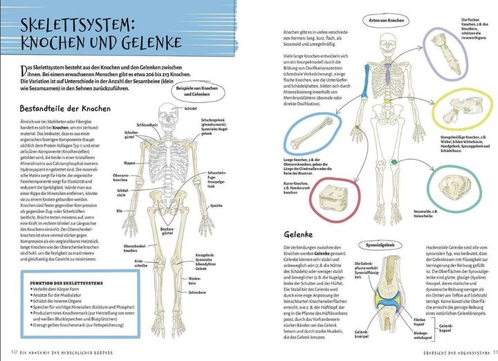 Produktbild Librero Die Anatomie des Menschlichen Körpers (Deutsch, Ken Ashwell, 2024)