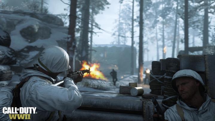 Actual product image Activision Call of Duty: WWII (PS4, EN)