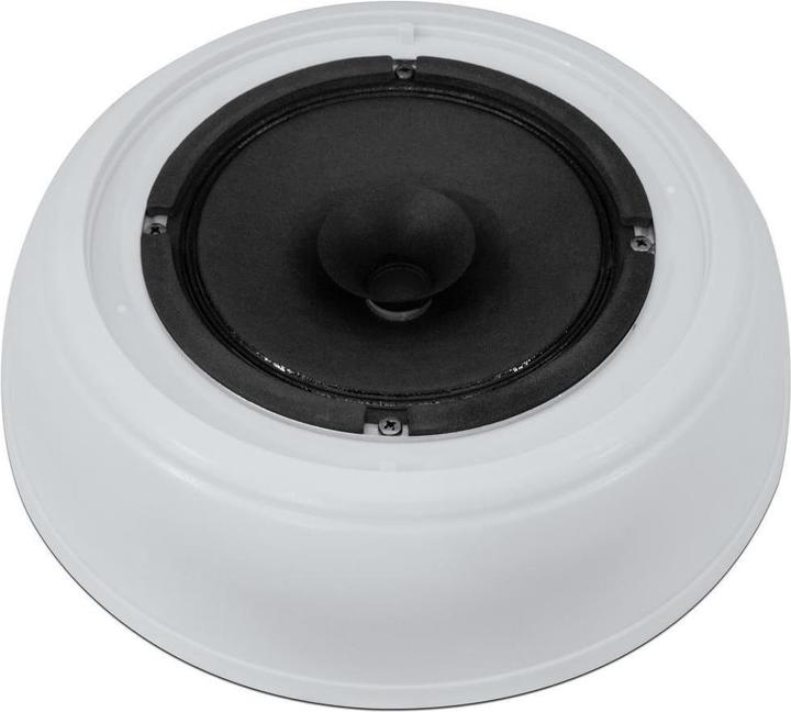 Immagine prodotto Omnitronic Altoparlante da soffitto DAL2 (1 pz.)