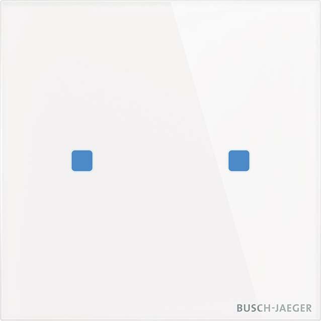 Actual product image Busch-Jaeger BJ TB/U2.5.11-CG Touch control panel