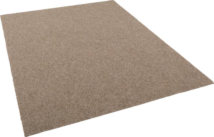 Image du produit Snapstyle Tapis de gazon synthétique avec picots Kingston (200 x 350 cm)