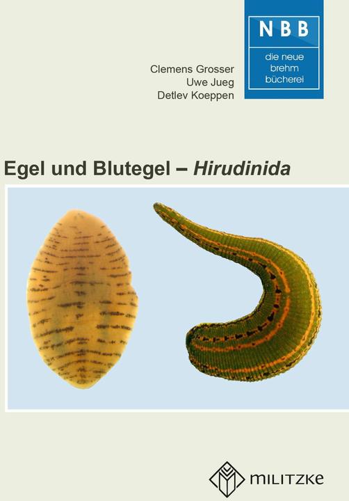 Actual product image Grosser:Egel und Blutegel (German, Detlev Dr Koeppen, Clemens Grosser, Uwe Jueg, 2024)