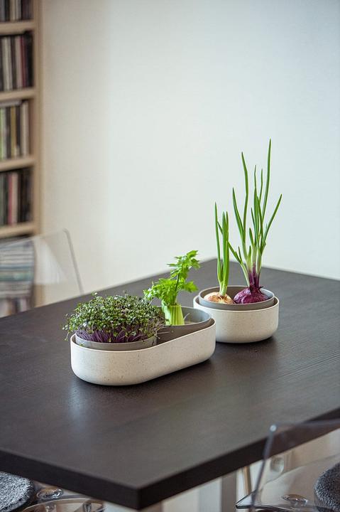 Image du produit URBALIVE Kit de germination pour microgreens (Germes)