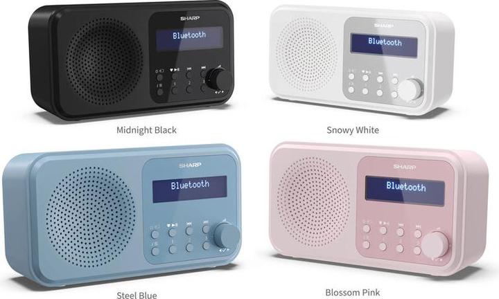 Actual product image Sharp DR-P420 (DAB+, DAB, FM, Bluetooth)