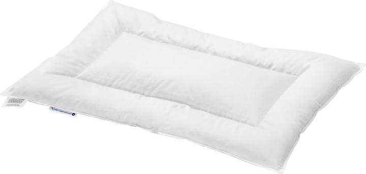 Produktbild nordic coast company Flachkissen aus feinen Daunen (90%) Klasse 1 (60 x 40 cm)