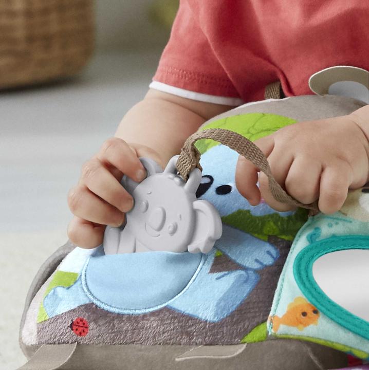 Image du produit Fisher-Price Mon Livre Peluche d’Activités - Livre bébé - A partir de 3 mois (Multilingue)