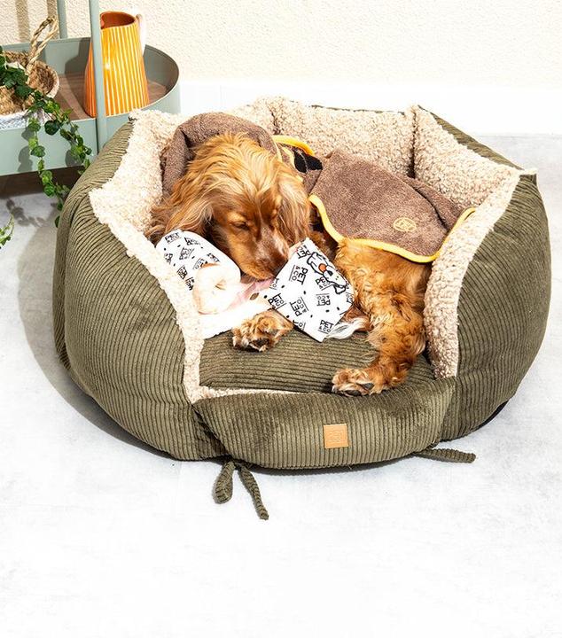 Immagine prodotto Pet & Co. Ronny Cord Double Face - Khaki (Cane)
