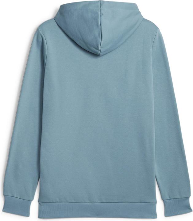 Actual product image Puma ESS+ 2 Col Big Logo Hoodie FL (M)