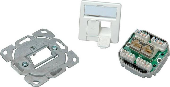 Produktbild Telegärtner TELEGAERTNER UPDose Cat6/Cl.E double 2xRJ45 alpinwhite AMJ45 (25.16.8650)