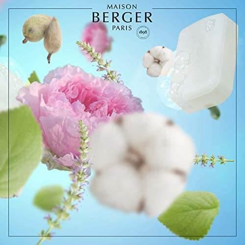 Immagine prodotto Maison Berger Profumo Savon d'Autrefois (500 ml)