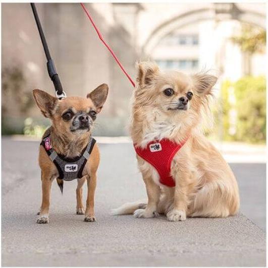 Produktbild Curli Vest sele Clasp Merino Red M (M, Hund, Spazieren)