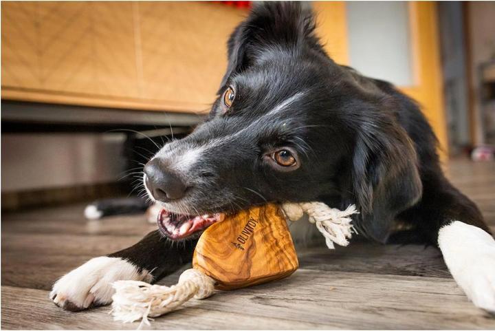 Produktbild Wolters Olivi Tau-Spielzeug Herz (Kauspielzeug Hund)