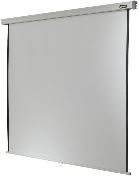 Produktbild Celexon Rollo Professional, Leinwand, 1:1 (131.10", 1:1)