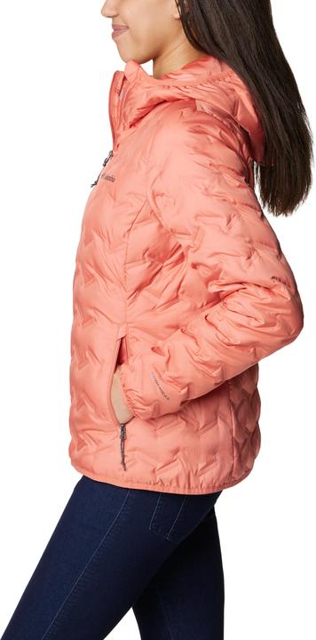 Image du produit Columbia Delta Ridge Veste à capuche Down (S)