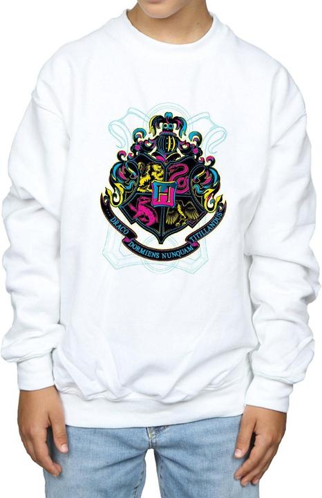Actual product image Boys Neon Hogwarts Crest Sweatshirt (128)