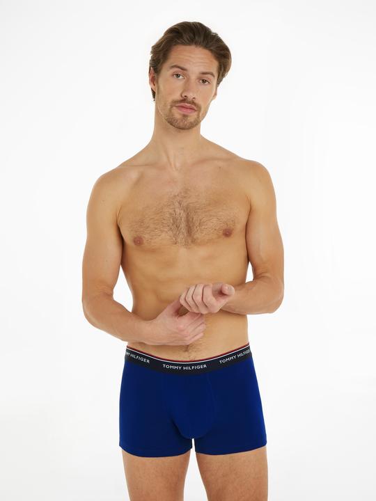 Actual product image Tommy Hilfiger Trunk (M, pack of 3)