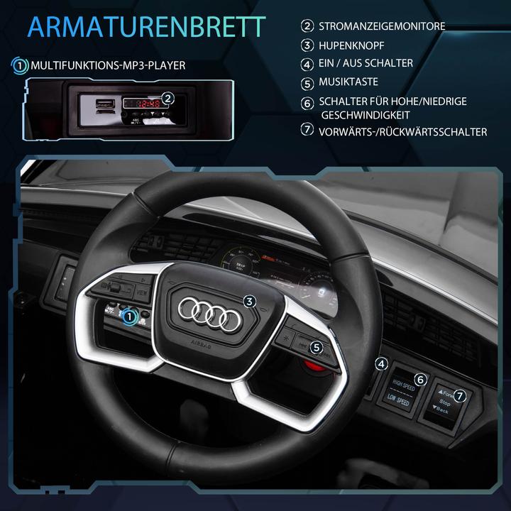 Actual product image Jamb Audi e-tron (12 V)