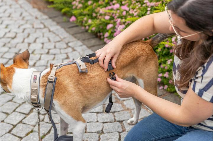 Produktbild Trixie Panik-Adapter Stay für Geschirre M-L (Hund, Allgemein)