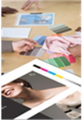 Actual product image Epson S042002 Semimatte proofing paper white inkjet 256g/m2 330mm x 30.5m 1 roll 1-pack (256 g/m², 1 x)