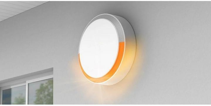 Actual product image somfy Radio outdoor siren Home Alarm 2