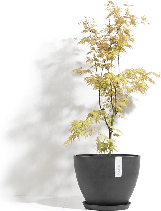 Immagine prodotto Ecopots Anversa (30 cm)