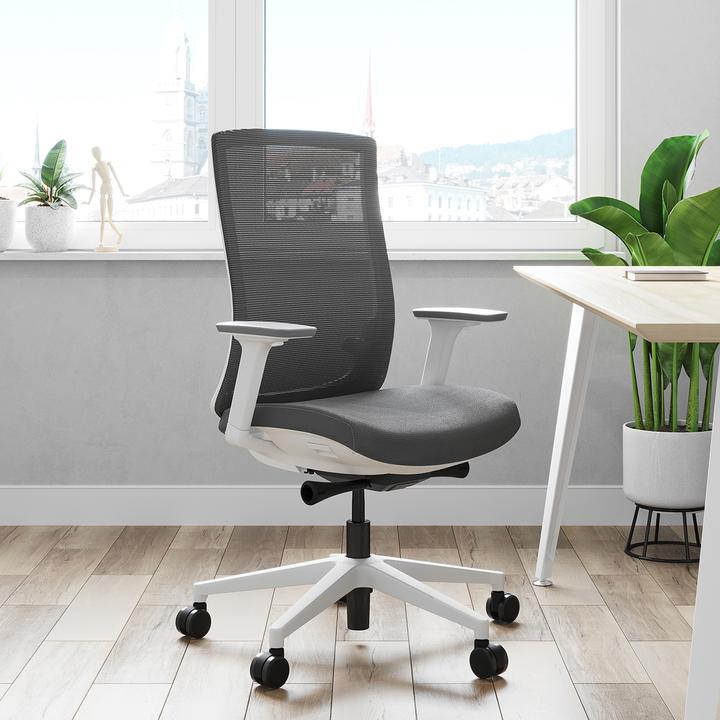 Image du produit ofinto Ergo