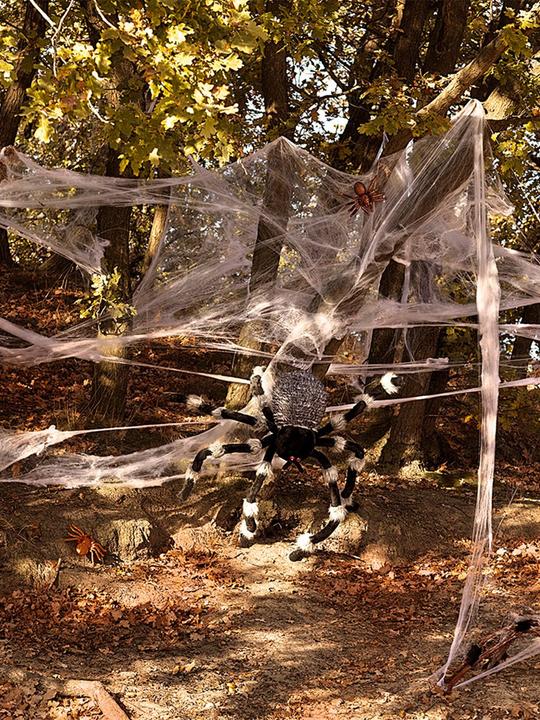 Actual product image Boland spider's web