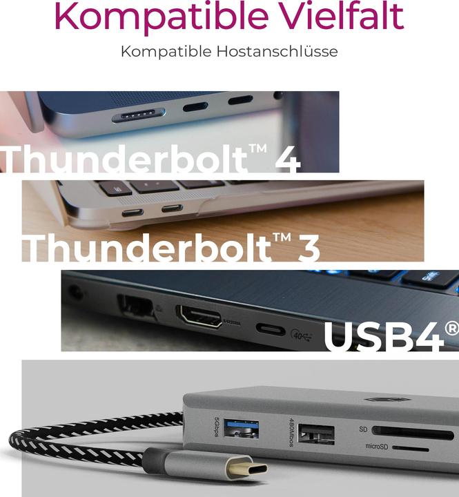 Immagine prodotto Icy Box IB-DK4012-CPD (USB-C, 3 Porti)
