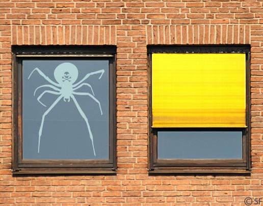 Actual product image Bilderwelten Black widow (25 x 31 cm)