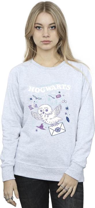 Actual product image Womens/Ladies Owl Letter From Hogwarts Sweatshirt (XL)