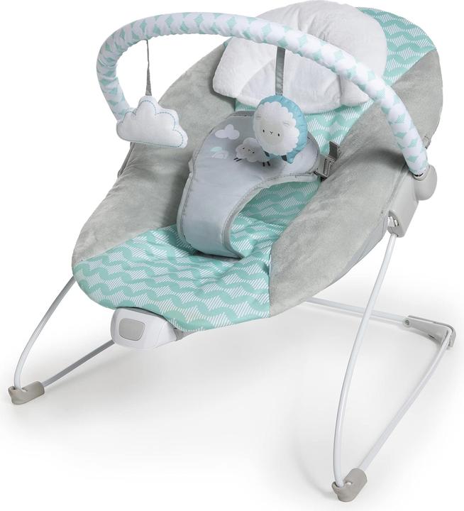 Actual product image Ingenuity Vibrating Baby Bouncer Deluxe