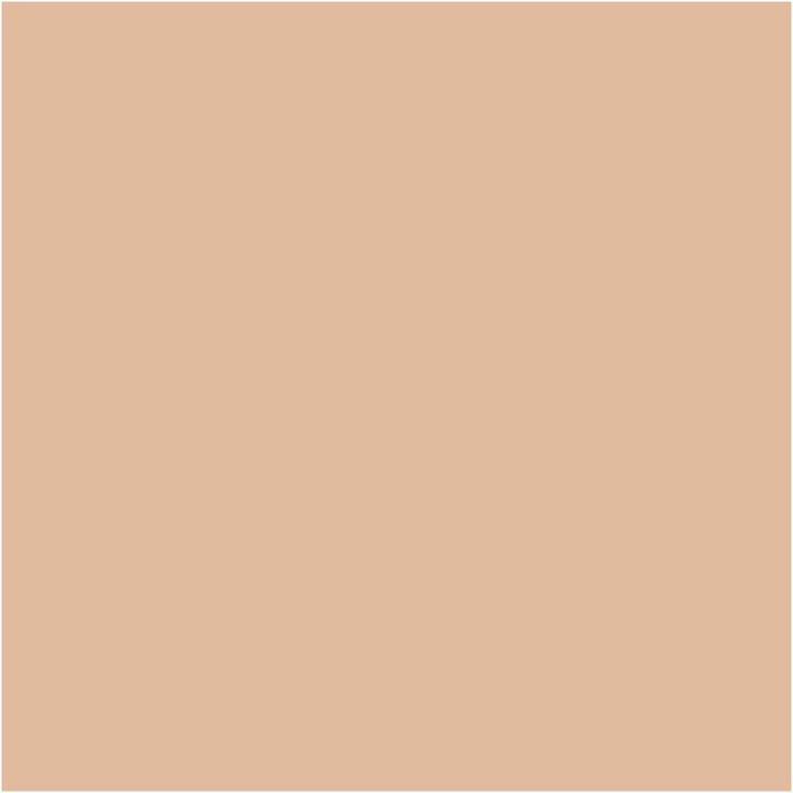 Actual product image Artdeco Light Luminous Fond de Teint No 22 (22 Neutral chiffon)