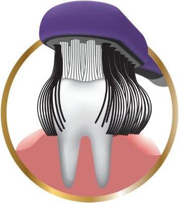 Image du produit Edel + White CleanCurl Curved brosse à dents (Moyen, 1 x)