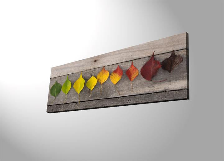 Produktbild Wallxpert Teagan (30 x 90 cm)